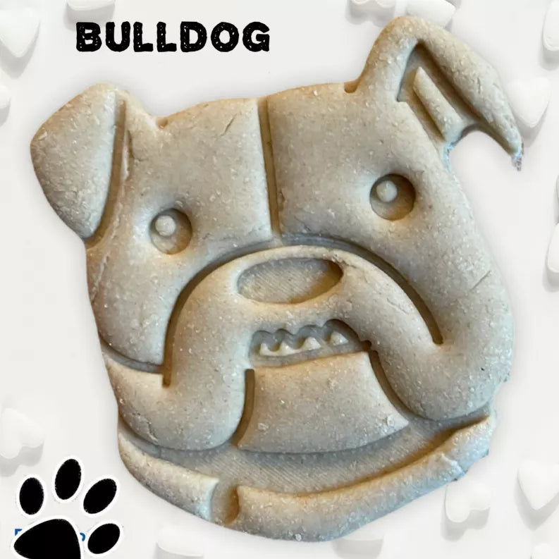 June Bug Dog Breed Dog Cookies