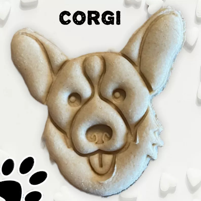 June Bug Dog Breed Dog Cookies