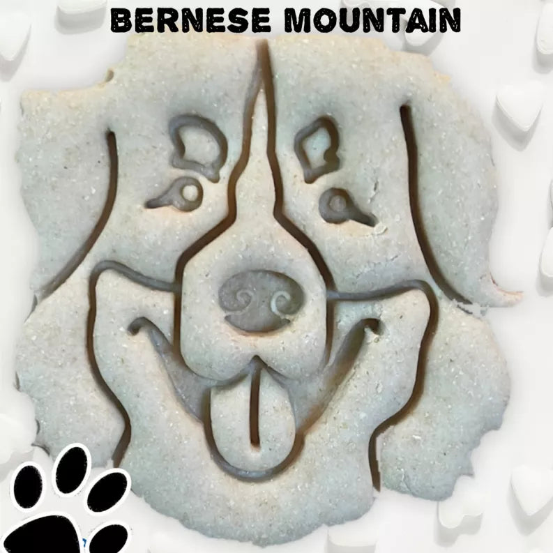 June Bug Dog Breed Dog Cookies