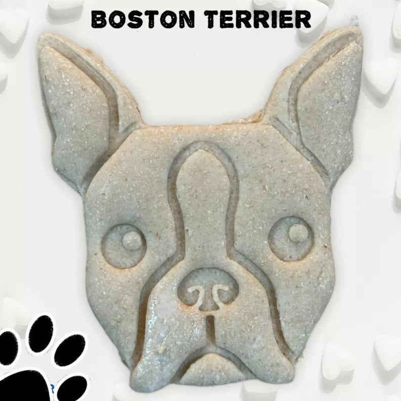 June Bug Dog Breed Dog Cookies